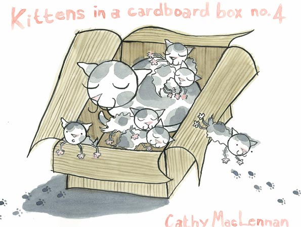 Kittens in a Cardboard Box