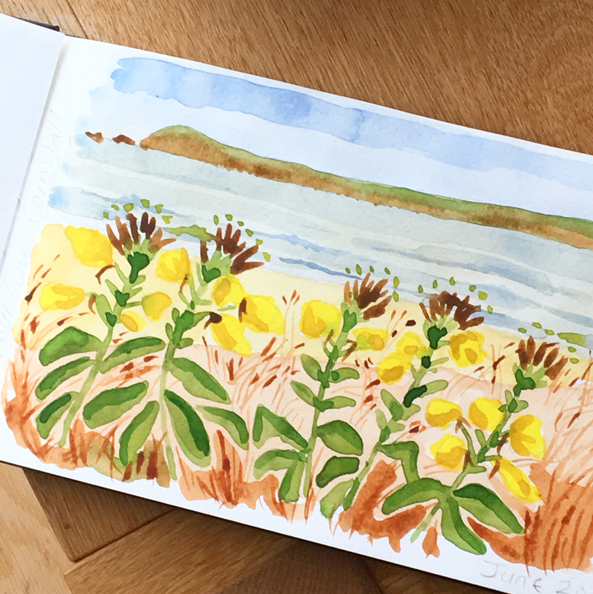 Holiday Watercolours